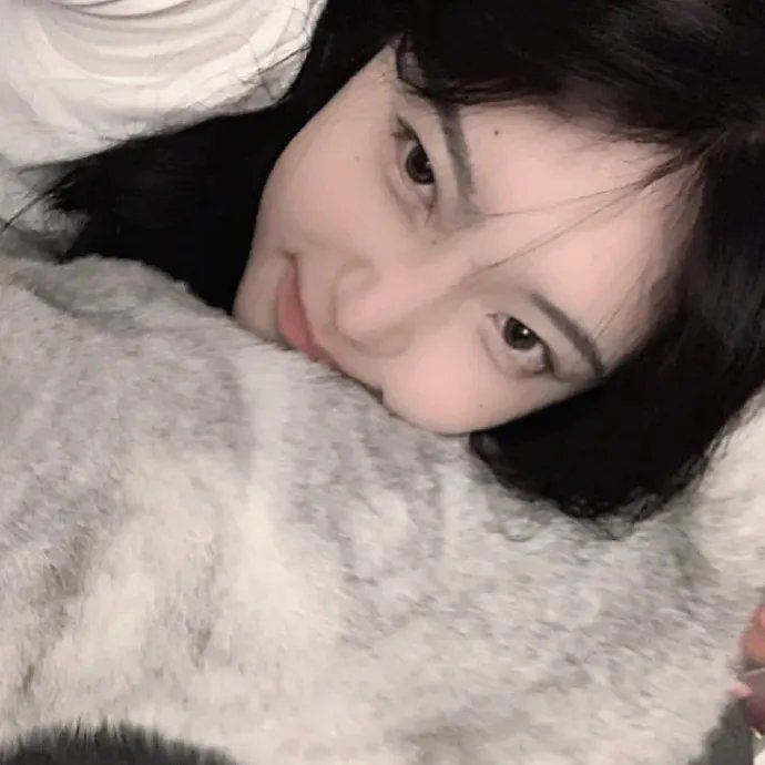 菜鸟新编剧